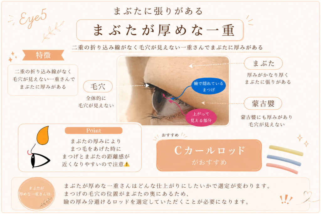 バンビッシュ　まぶたが厚めな一重