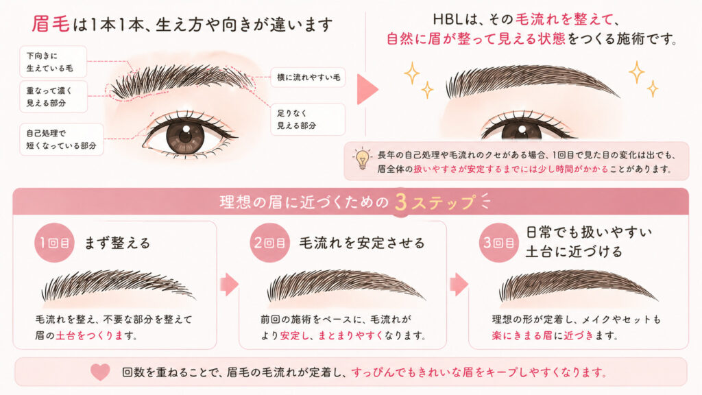 HBL 完成までのステップ バンビッシュ