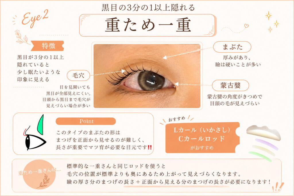 バンビッシュ　重ため一重