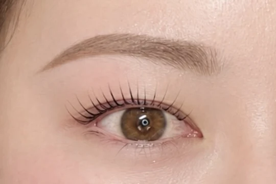 アーチ眉とパンダの組み合わせ写真