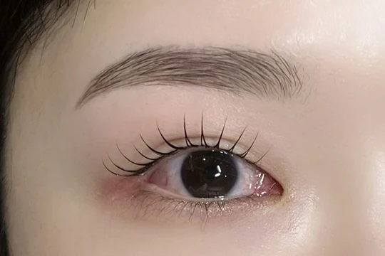 平行眉とメーテルの組み合わせ写真