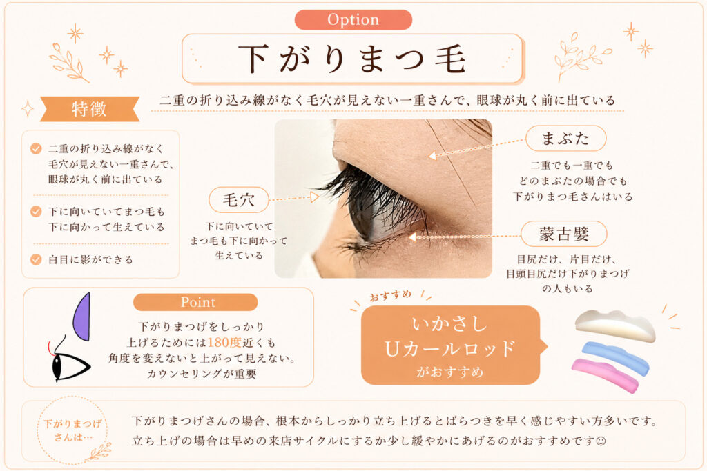 バンビッシュ　一重　下がりまつげ